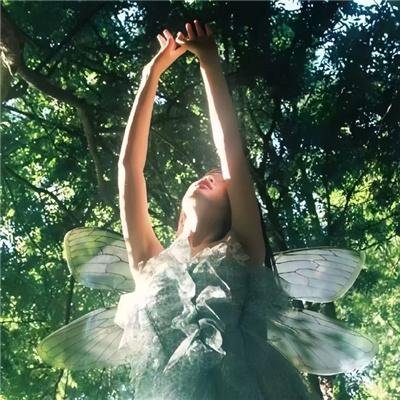非洲城的后裔