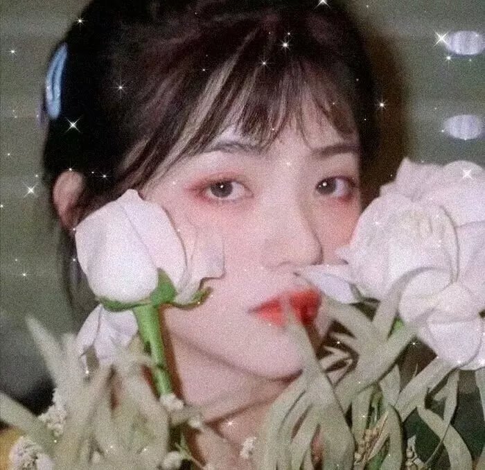 无名小姐